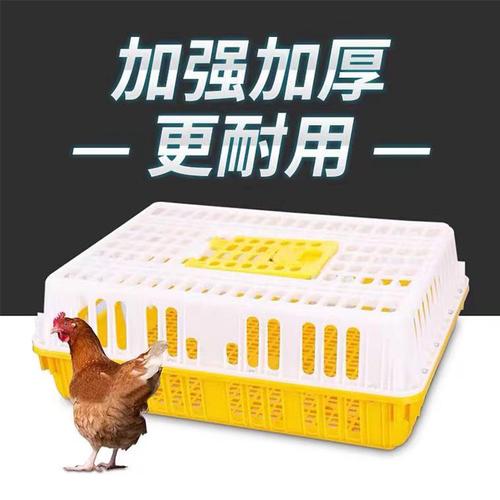 塑料鸡笼养殖场家禽成鸡胶框 家用鸭鸽兔周转筐加厚透气运输鸡笼