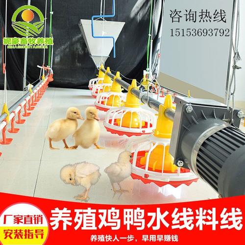 鸡鸭棚家禽养殖场平养地养水线料线养殖设备自动上料喂料机投料器
